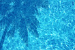 Pool 004