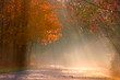 Misty autumn landscape