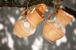 Pots
