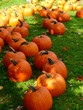 Halloween time