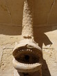 fontana con statua di pesce