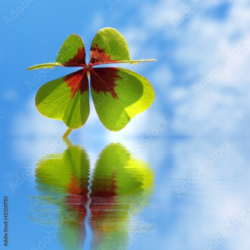 Foto: cloverleaf - trifolium cloverleaf - trifolium
