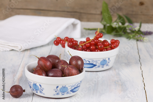 Stachelbeeren