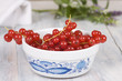Johannisbeeren solo
