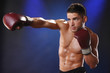 Action boxer in training attitude