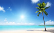 palm and sea