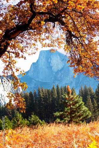 Photo: Autumn in Yosemite Autumn in Yosemite