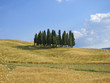 Val d'Orcia 2
