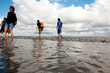 Wattwandern an der Nordsee 694