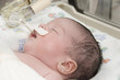Newborn baby inside incubator