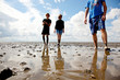 Wattwandern an der Nordsee 709