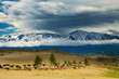 Mountain landscape