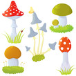 Set of mushrooms Set of mushrooms