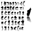Maps of Africa