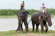 Elefant reiten