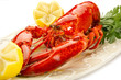 boiled lobster-aragosta bollita