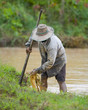 asian farmer preparing the ground for the growth of rice asian farmer preparing the ground for the growth of rice