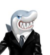 shark managers