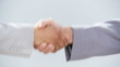 close-up of a professional handshake