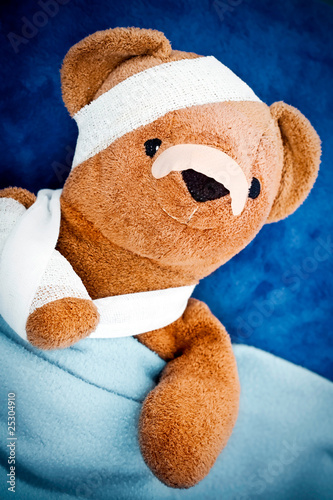 Ourson accidenté alité Ourson accidenté alité