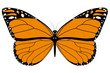 An orange butterfly