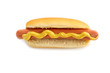 hot dog hot dog