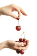 Hands with cherries