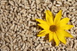 blüte holzpellets