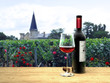 Brodeaux Wein im Médoc Brodeaux Wein im Médoc