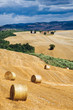 Campagna