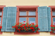 Schwarzwaldhaus