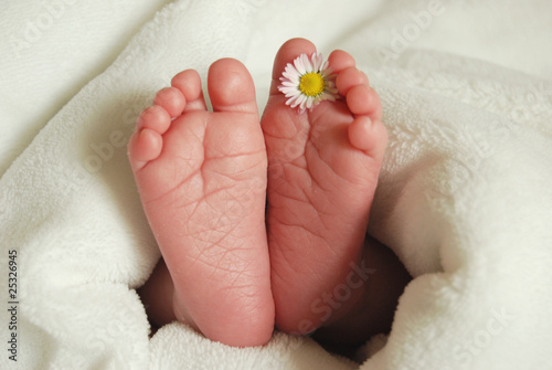 Foto: Babyfüße mit Gänseblümchen Babyfüße mit Gänseblümchen