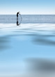 paddle board sport rame ramer surf mer océan glisse individuel