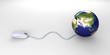 Globales Netz