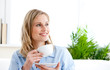Captivating businesswoman holding a cup sitting on a sofa Captivating businesswoman holding a cup sitting on a sofa