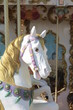 Manège - Tête de cheval