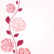Floral card,rose. Vector illustration
