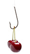 Tempting cherry bait