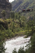 Yaks crossing a bridge in the Himalayan Mountains of Nepal Yaks crossing a bridge in the Himalayan Mountains of Nepal