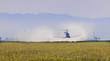 fumigando arrozales con helicopteros