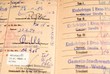 Impfausweis / Impfpass