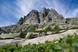 Montagna