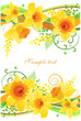 Floral daffodil design element