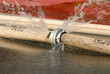 Feuerwehrschlauch