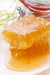 Honigwabe