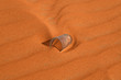 Red sand desert