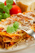 lasagne lasagne