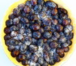 tarte garnie de quetsches prêt à cuire