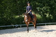 Junger Mann mit Reitpferd