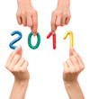 New Year 2011
